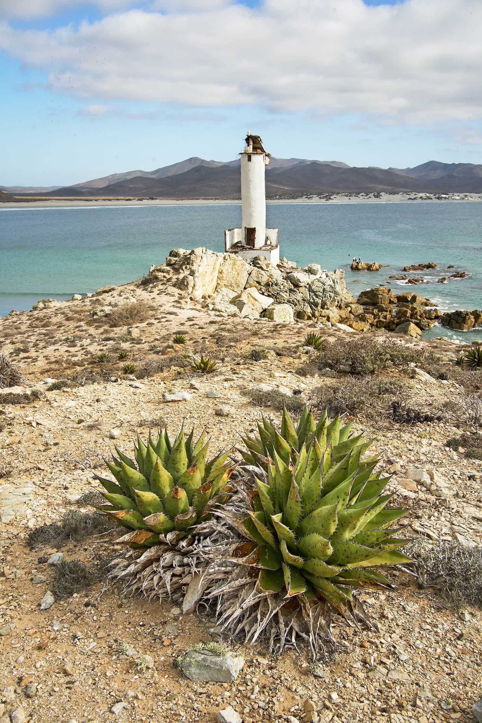 Baja_lighthouse_0235