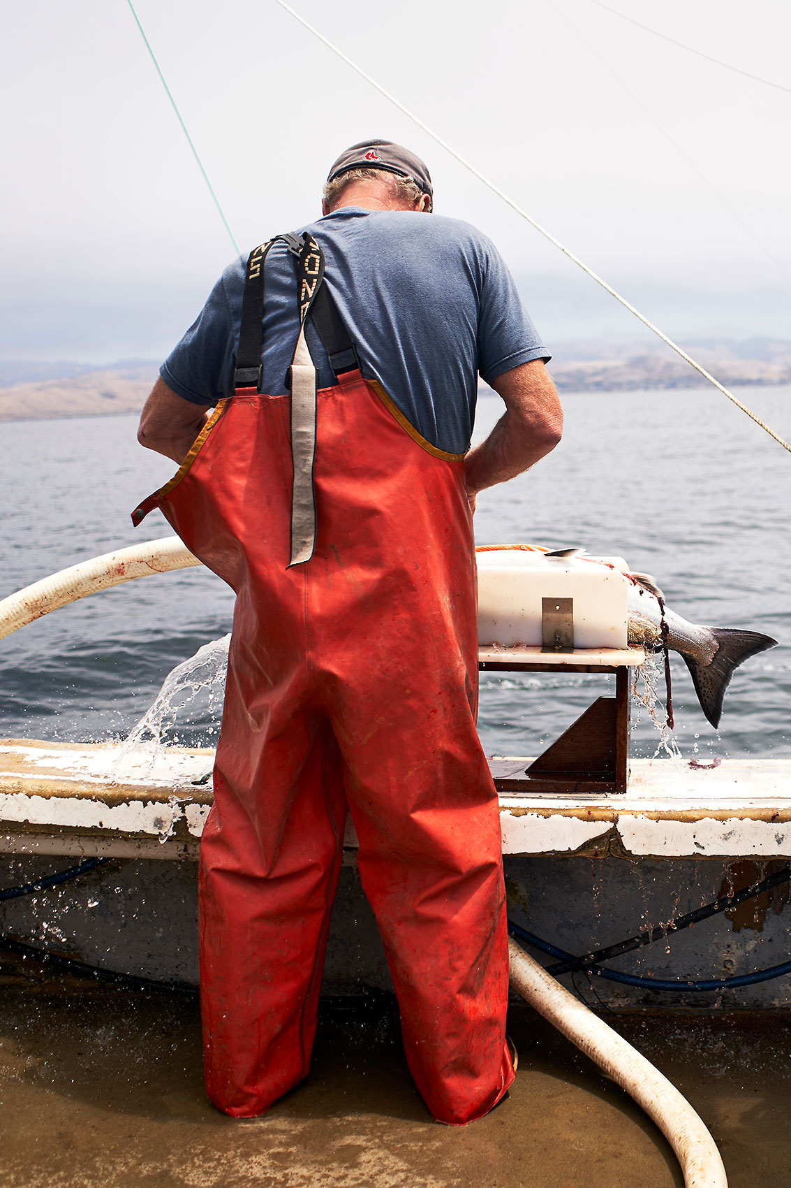 Salmon_Fishing_Morro_Bay_Reid_0406-vert