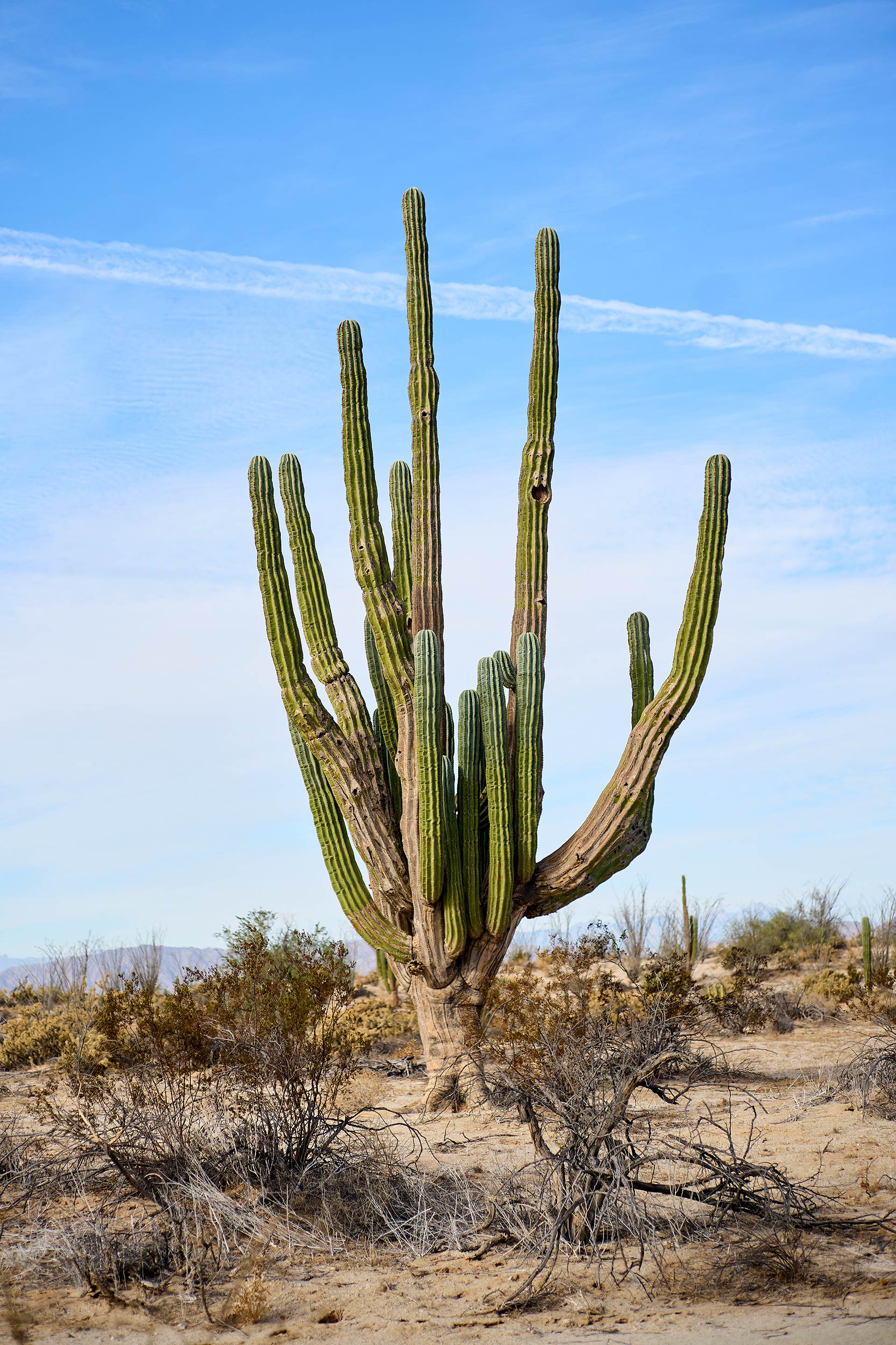baja_2021_0031